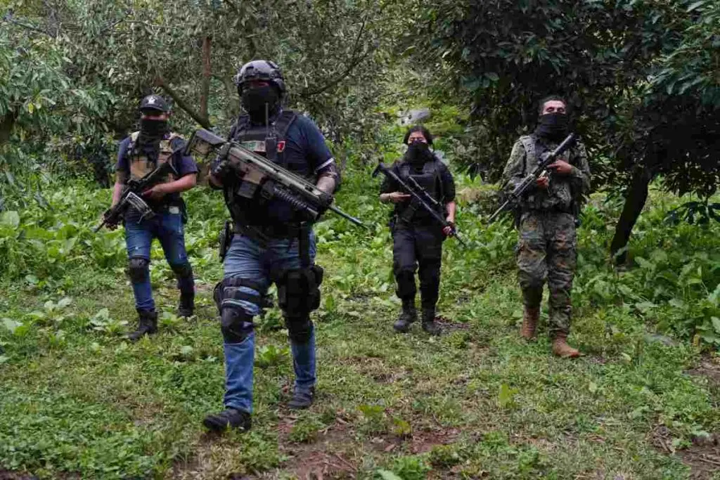 carteles-de-mexico-droga-reclutan-1024×683-1